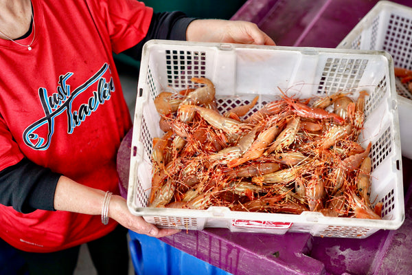 Live Spot Prawns - Cash Sales